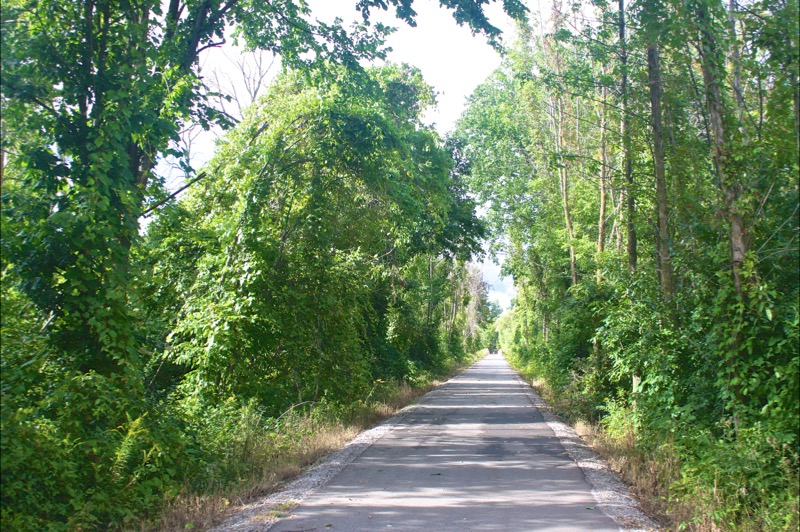 BayZil Rail Trail